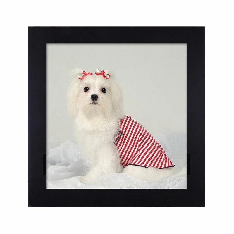 Discount ❤️ Adeco Decorative Black Wood 1.25-Inch Wide Wall Hanging 10 X 10-inch Photo Frame ⌛ 7 Discount ❤️ Adeco Decorative Black Wood 1.25-Inch Wide Wall Hanging 10 X 10-inch Photo Frame ⌛ - Image 5
