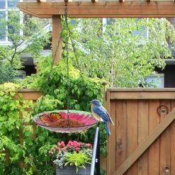 Buy 🔔 Adeco Hanging Bird Baths Bird Feeders Multi 🎉 -Adeco Shop Adeco Hanging Bird Baths Bird Feeders 4